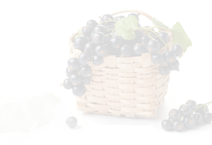 ovoce pro zdravi